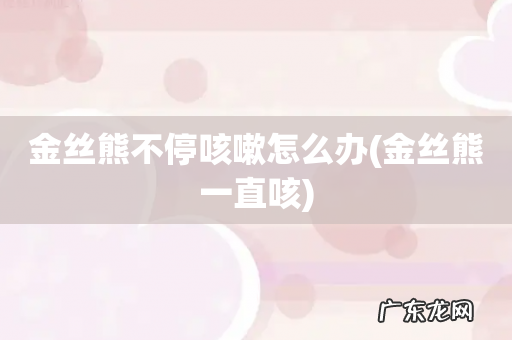 金丝熊一直咳 金丝熊不停咳嗽怎么办