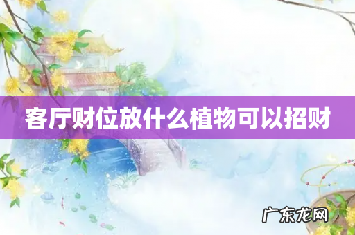 客厅财位放什么植物可以招财