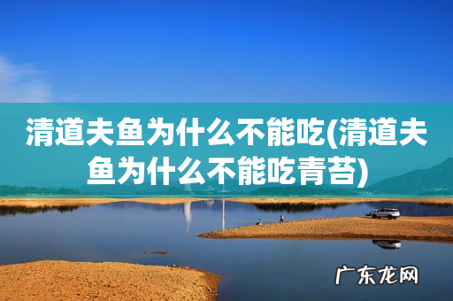 清道夫鱼为什么不能吃青苔 清道夫鱼为什么不能吃