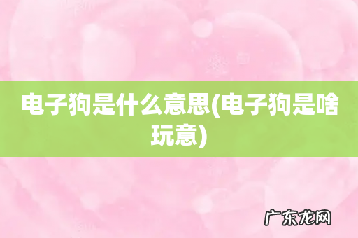 电子狗是啥玩意 电子狗是什么意思