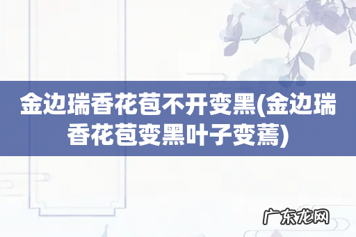 金边瑞香花苞变黑叶子变蔫 金边瑞香花苞不开变黑