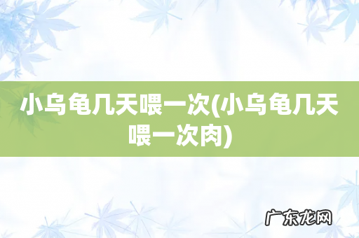 小乌龟几天喂一次肉 小乌龟几天喂一次