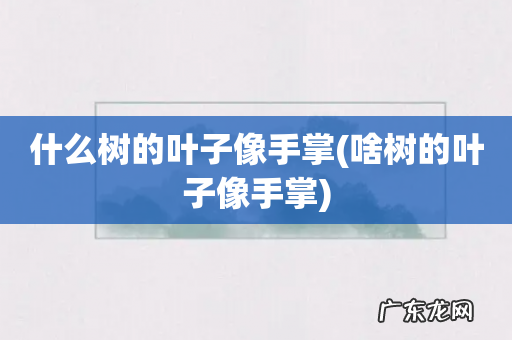 啥树的叶子像手掌 什么树的叶子像手掌