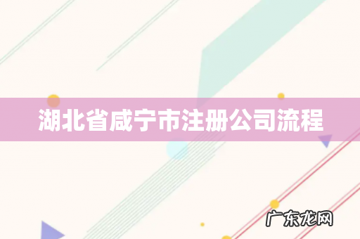 湖北省咸宁市注册公司流程