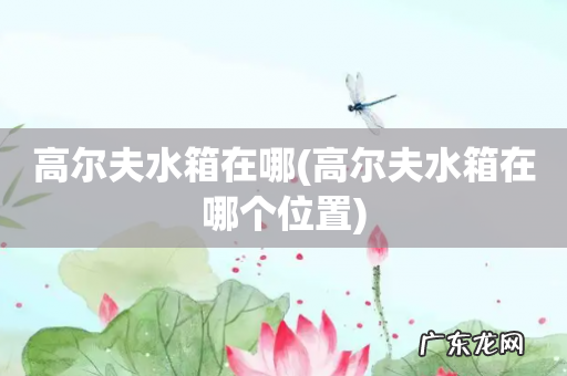 高尔夫水箱在哪个位置 高尔夫水箱在哪