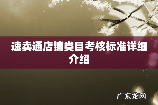 速卖通店铺类目考核标准详细介绍