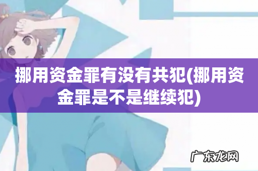 挪用资金罪是不是继续犯 挪用资金罪有没有共犯
