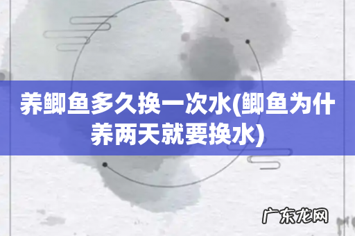 鲫鱼为什养两天就要换水 养鲫鱼多久换一次水