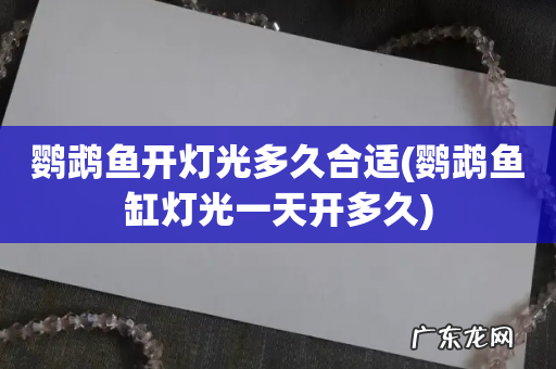 鹦鹉鱼缸灯光一天开多久 鹦鹉鱼开灯光多久合适