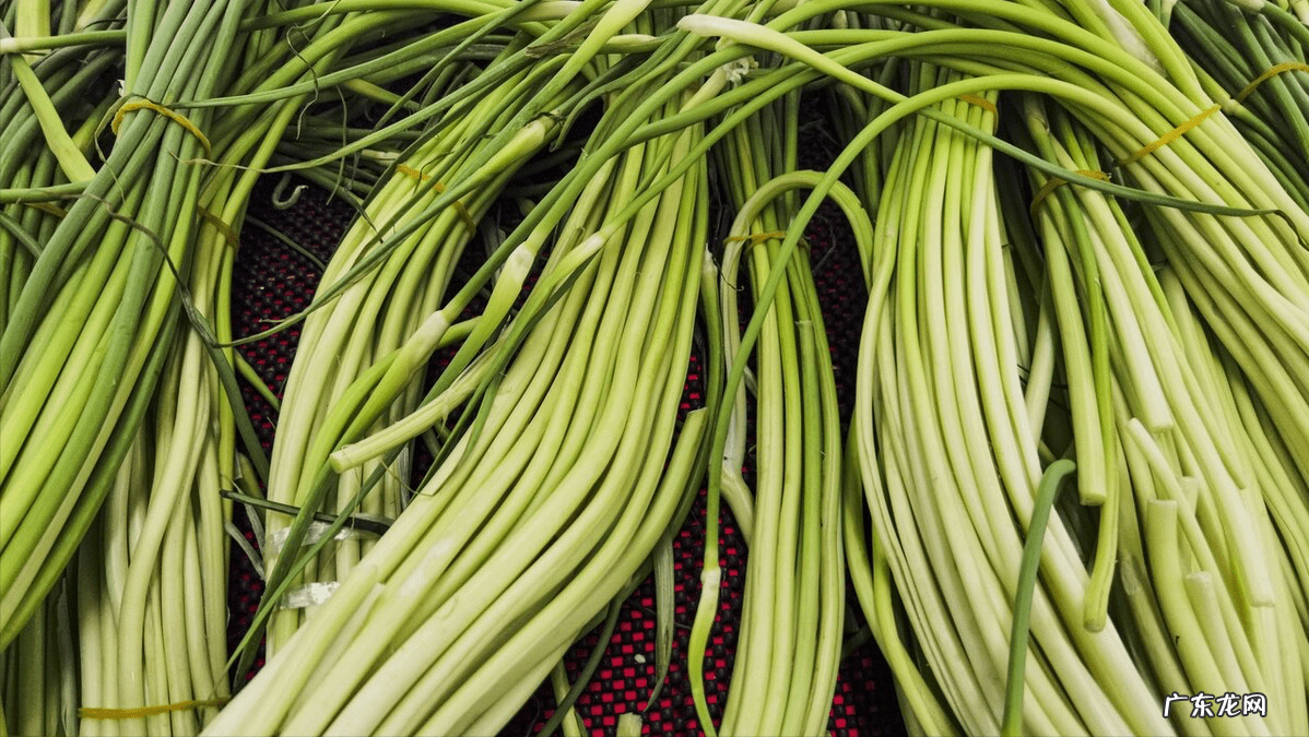 蒜苔的做法有哪些 蒜苔