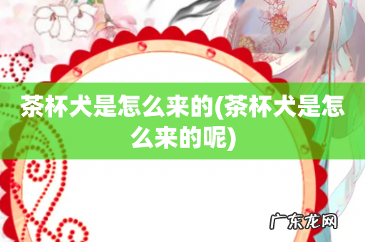 茶杯犬是怎么来的呢 茶杯犬是怎么来的