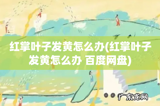 红掌叶子发黄怎么办 百度网盘 红掌叶子发黄怎么办