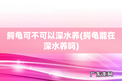 鳄龟能在深水养吗 鳄龟可不可以深水养