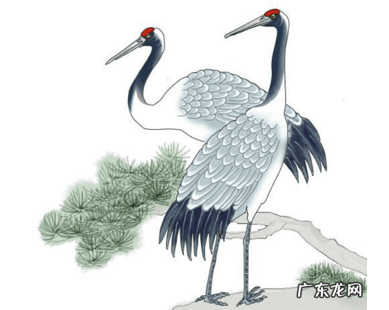 风水喝形麒麟 家有仙鹤图的风水