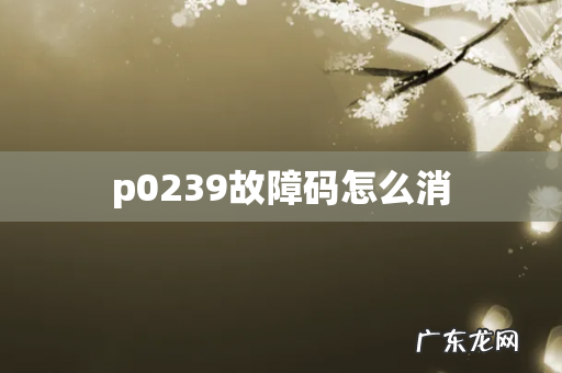 p0239故障码怎么消