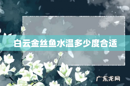 白云金丝鱼水温多少度合适