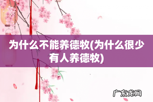 为什么很少有人养德牧 为什么不能养德牧