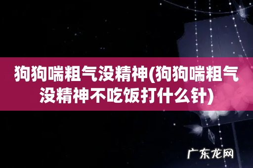 狗狗喘粗气没精神不吃饭打什么针 狗狗喘粗气没精神