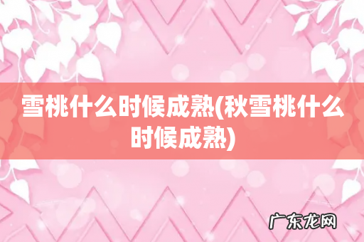 秋雪桃什么时候成熟 雪桃什么时候成熟