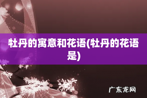 牡丹的花语是 牡丹的寓意和花语