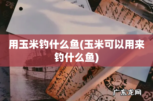 玉米可以用来钓什么鱼 用玉米钓什么鱼