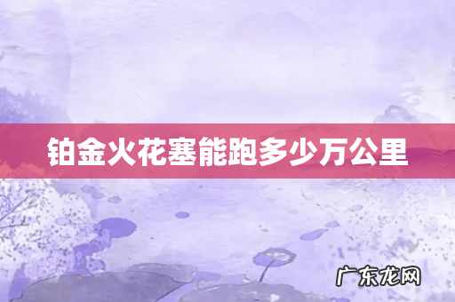 铂金火花塞能跑多少万公里