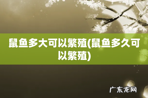 鼠鱼多久可以繁殖 鼠鱼多大可以繁殖