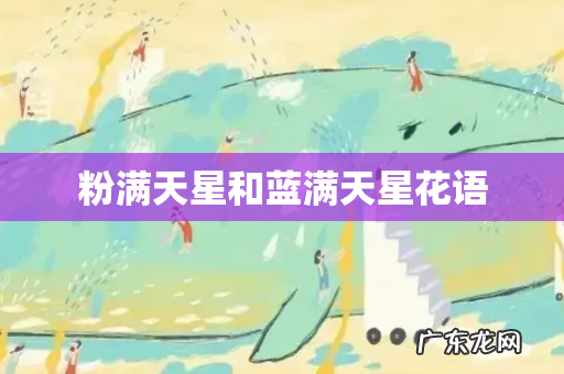粉满天星和蓝满天星花语