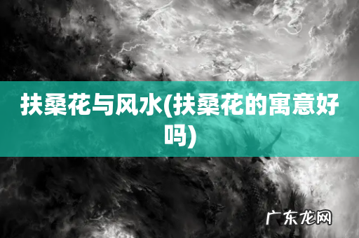 扶桑花的寓意好吗 扶桑花与风水