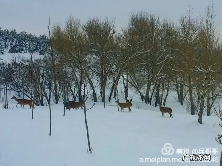 风水宝地留福人 集宁白泉山风水宝地