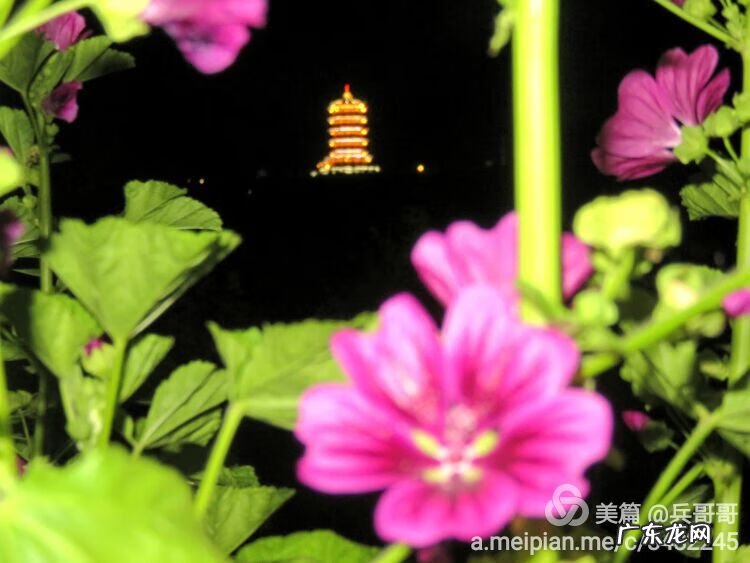 风水宝地留福人 集宁白泉山风水宝地