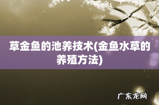金鱼水草的养殖方法 草金鱼的池养技术