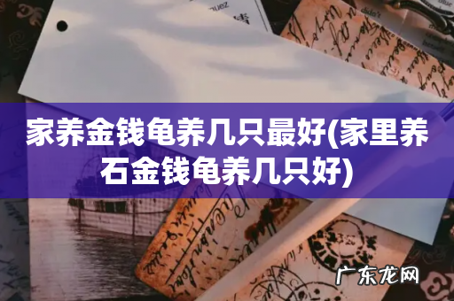 家里养石金钱龟养几只好 家养金钱龟养几只最好