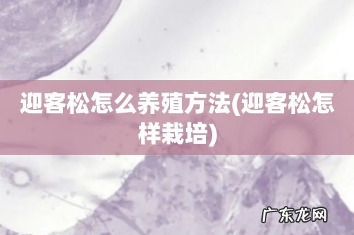 迎客松怎样栽培 迎客松怎么养殖方法