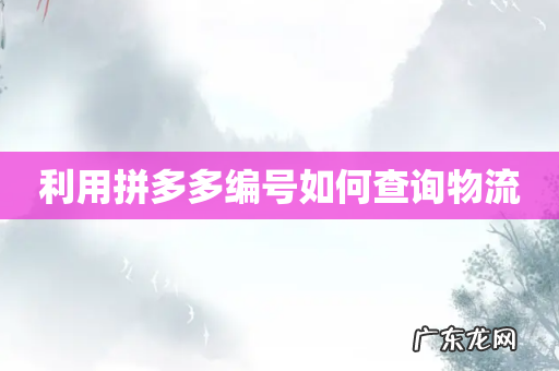 利用拼多多编号如何查询物流