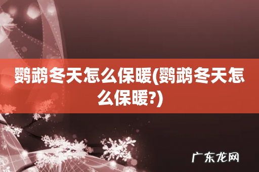 鹦鹉冬天怎么保暖? 鹦鹉冬天怎么保暖