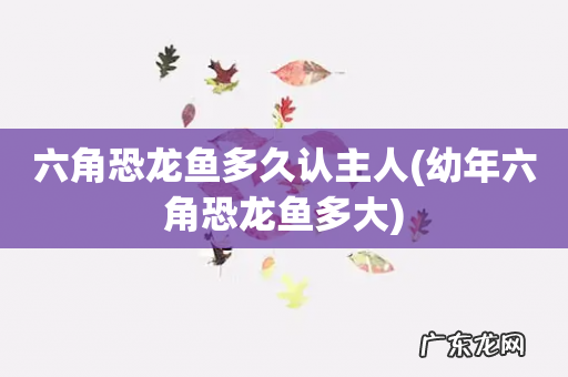 幼年六角恐龙鱼多大 六角恐龙鱼多久认主人