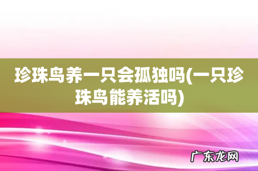 一只珍珠鸟能养活吗 珍珠鸟养一只会孤独吗