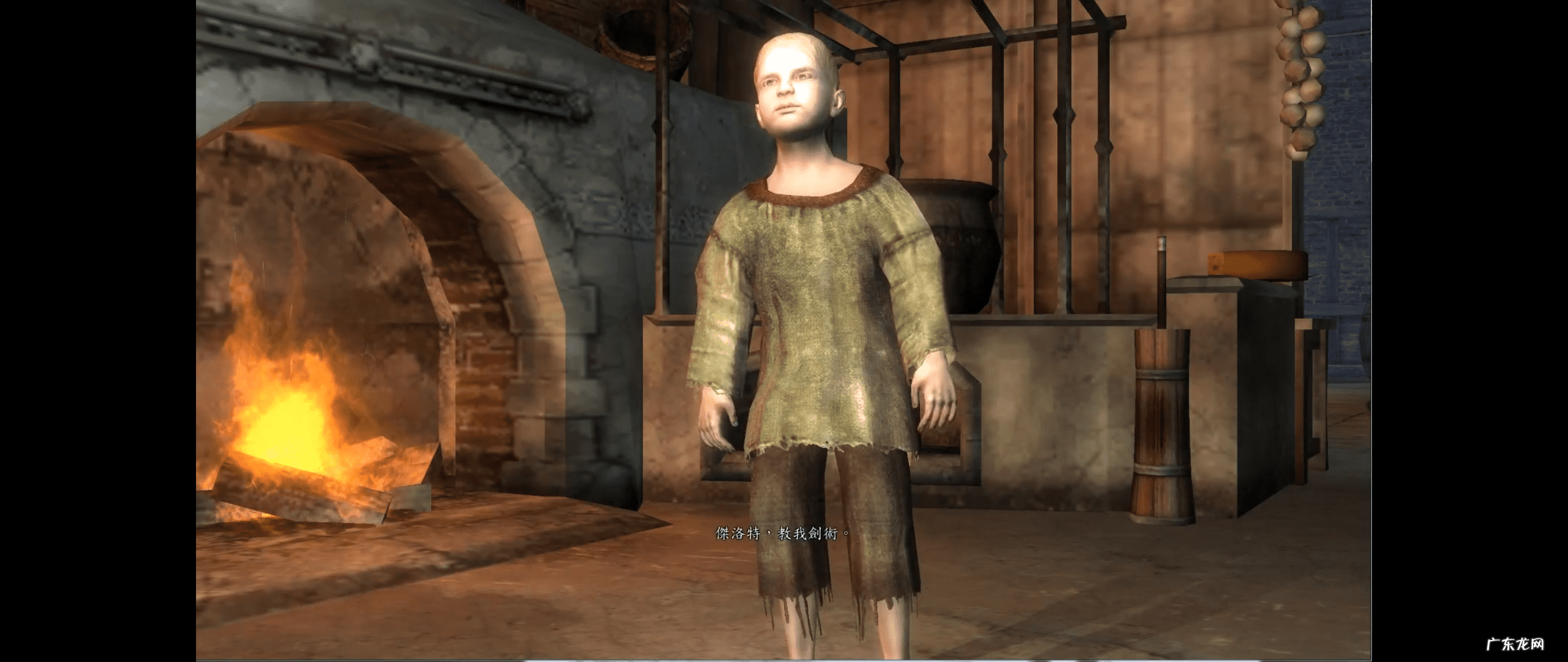 蔷薇骑士团小说