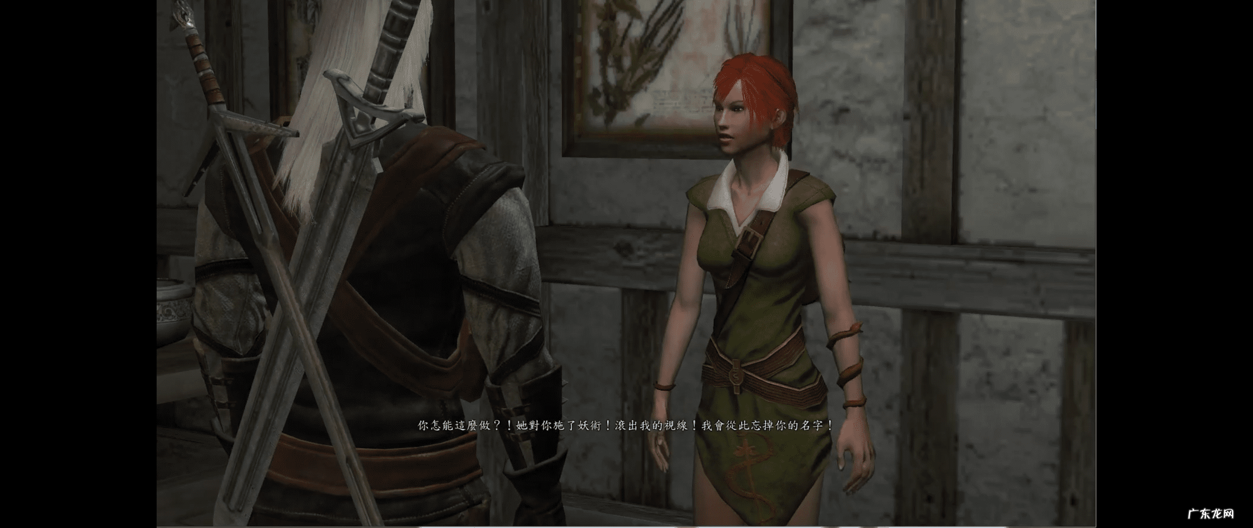 蔷薇骑士团小说