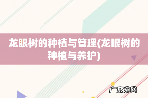 龙眼树的种植与养护 龙眼树的种植与管理