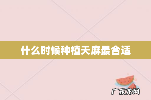 什么时候种植天麻最合适