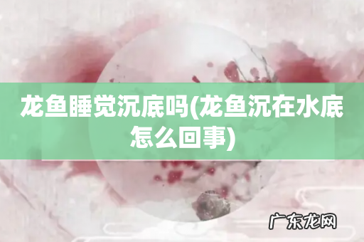 龙鱼沉在水底怎么回事 龙鱼睡觉沉底吗