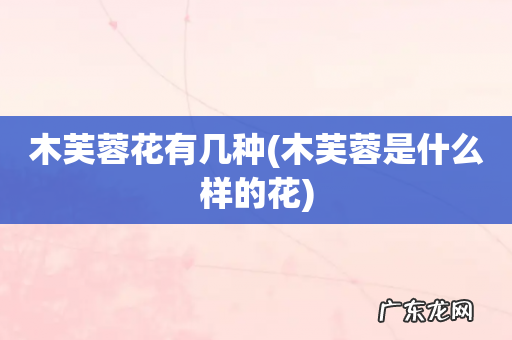 木芙蓉是什么样的花 木芙蓉花有几种