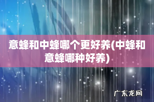 中蜂和意蜂哪种好养 意蜂和中蜂哪个更好养