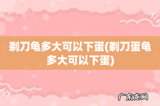 剃刀蛋龟多大可以下蛋 剃刀龟多大可以下蛋