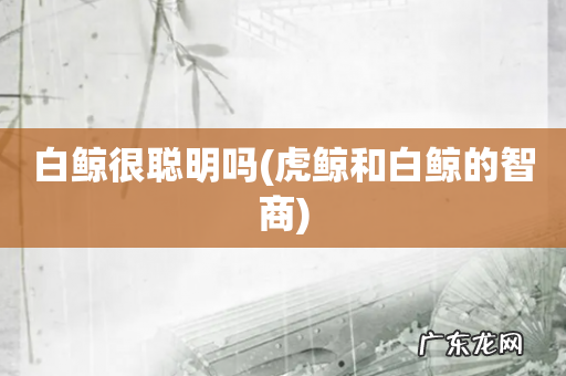 虎鲸和白鲸的智商 白鲸很聪明吗