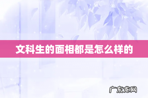 文科生的面相都是怎么样的