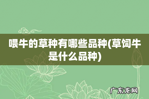 草饲牛是什么品种 喂牛的草种有哪些品种