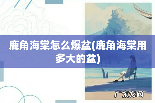 鹿角海棠用多大的盆 鹿角海棠怎么爆盆